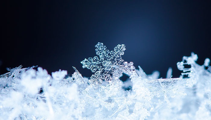 Wintercollectie
